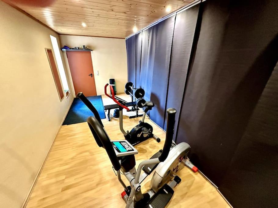 Apartment Joelle Mit Sauna, Schwimmteich Und Gym Erbach (Odenwaldkreis)