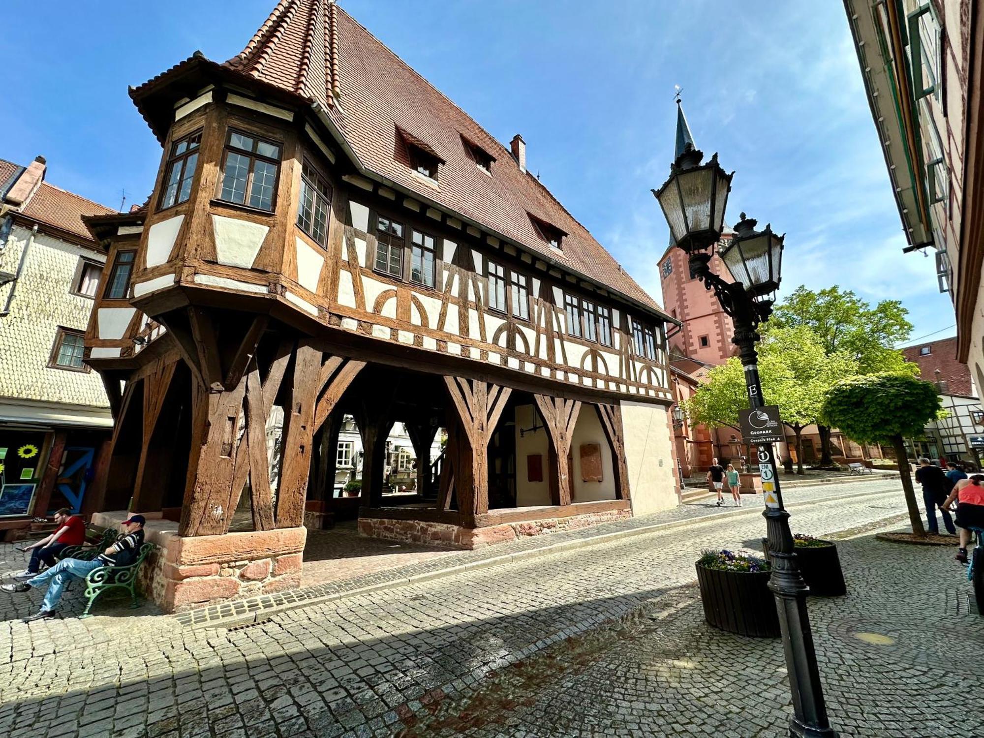 Apartment Joelle Mit Sauna, Schwimmteich Und Gym Erbach (Odenwaldkreis)