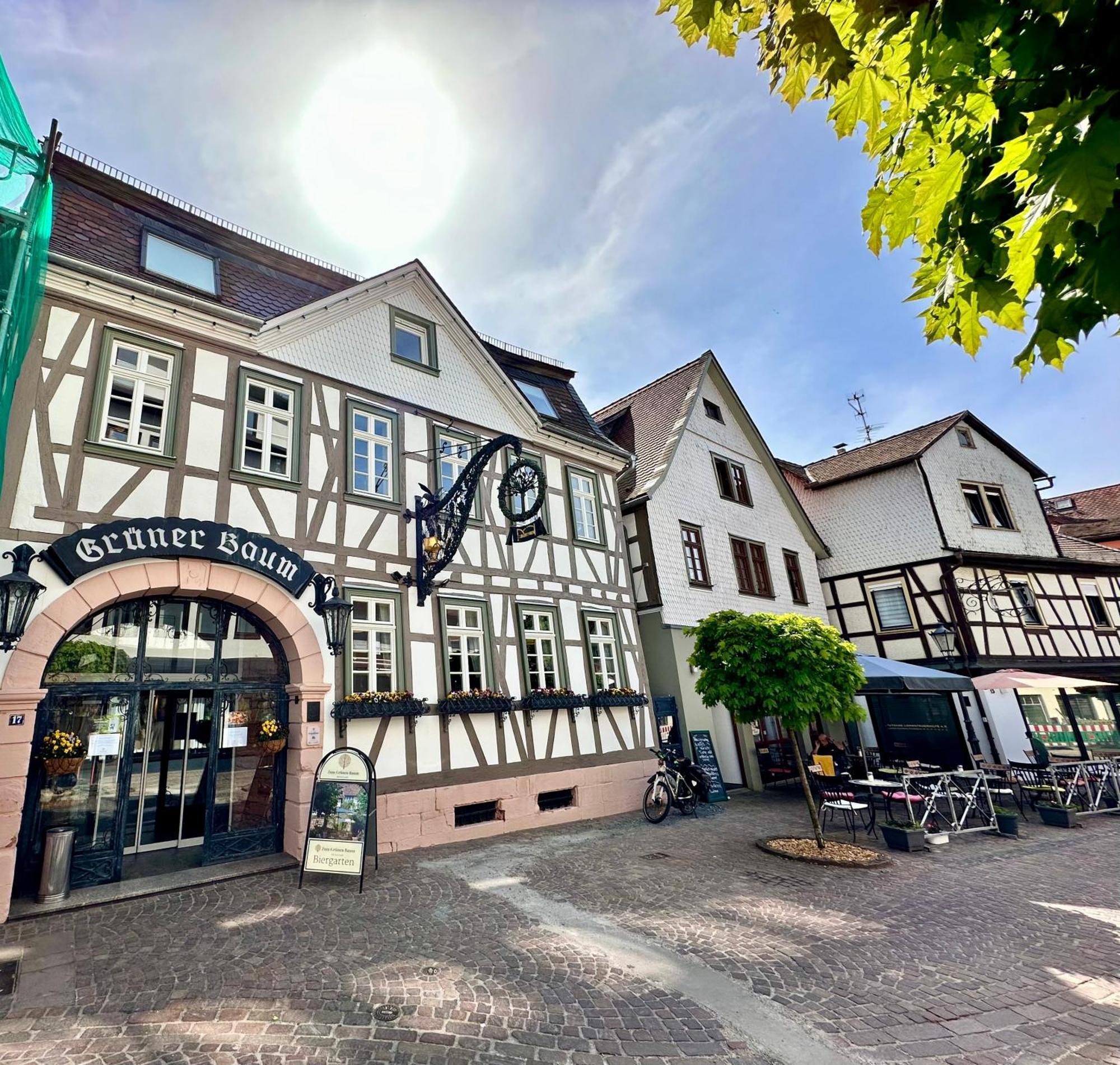 Joelle Mit Sauna, Schwimmteich Und Gym Erbach (Odenwaldkreis)