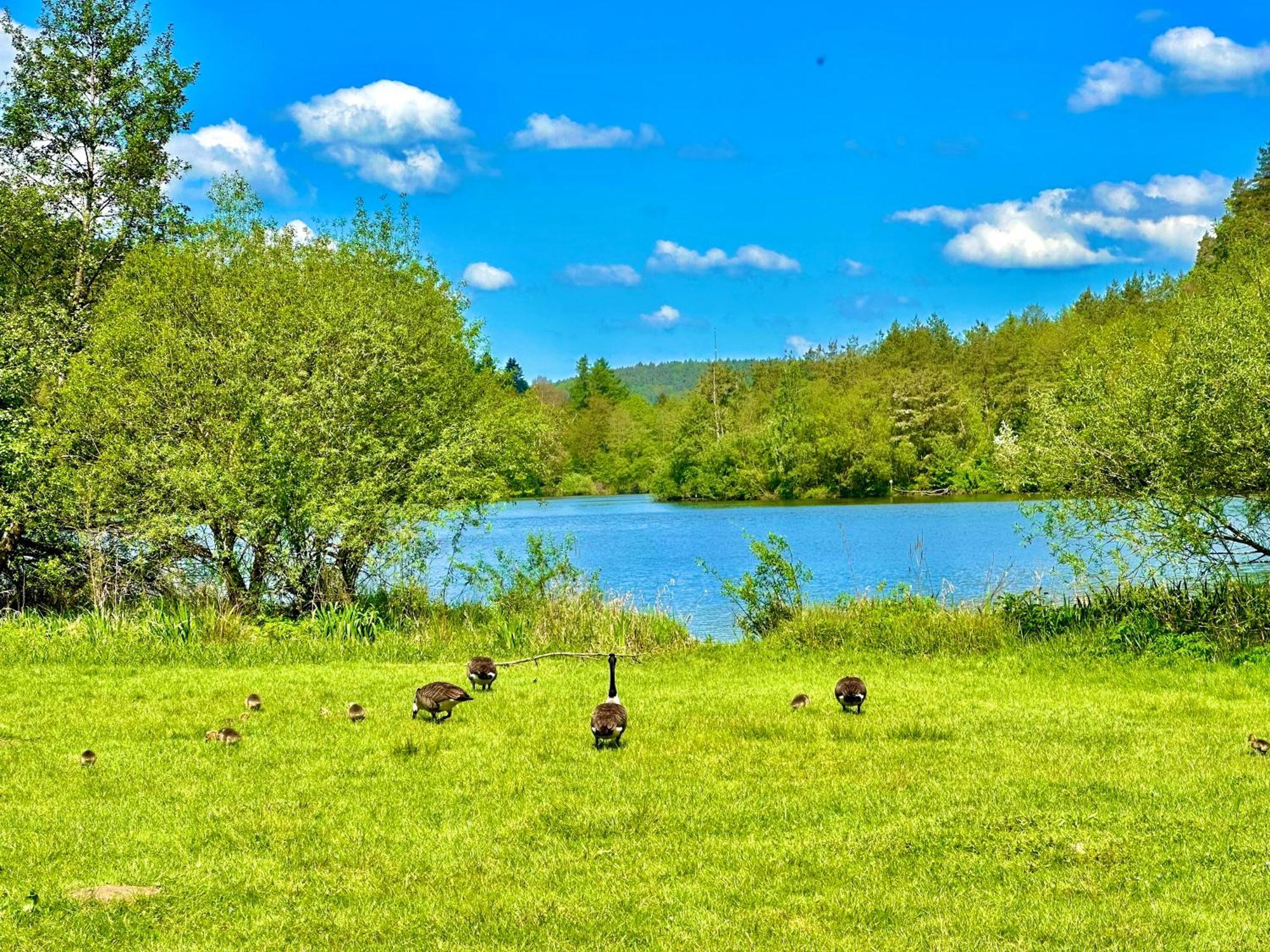 Joelle Mit Sauna, Schwimmteich Und Gym * Erbach (Odenwaldkreis)